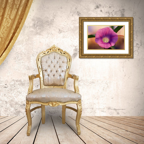 Morning Glory I Gold Ornate Wood Framed Art Print with Double Matting by Stefko, Bob