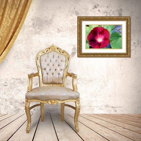 Morning Glory II Gold Ornate Wood Framed Art Print with Double Matting by Stefko, Bob