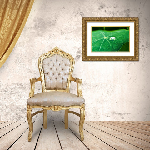 A Single Drop I Gold Ornate Wood Framed Art Print with Double Matting by Stefko, Bob