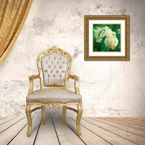 Chinese Snowball Gold Ornate Wood Framed Art Print with Double Matting by Stefko, Bob