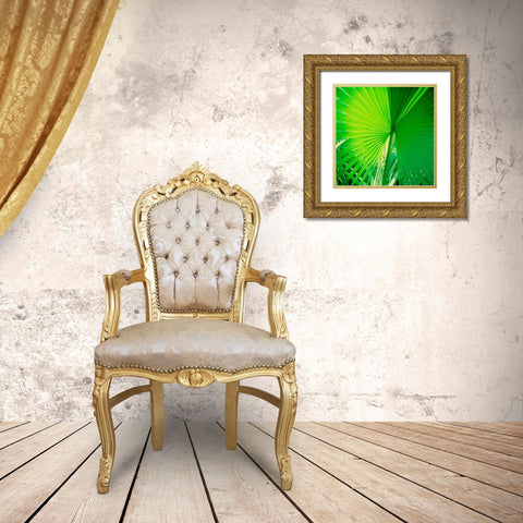 Palm Frond II Gold Ornate Wood Framed Art Print with Double Matting by Stefko, Bob