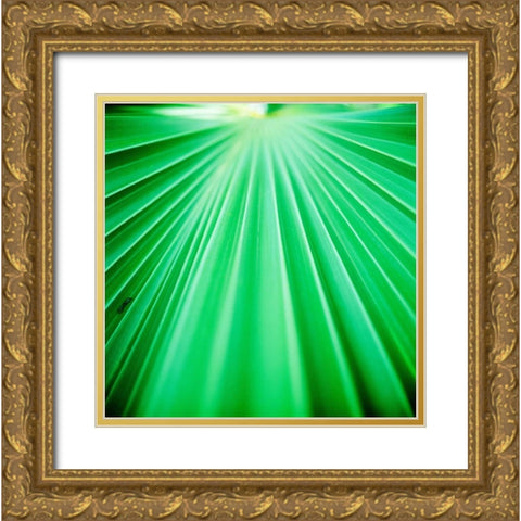 Palm Frond III Gold Ornate Wood Framed Art Print with Double Matting by Stefko, Bob