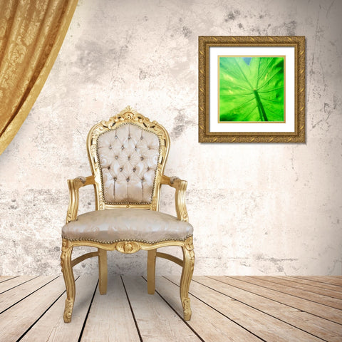 Taro Leaf Gold Ornate Wood Framed Art Print with Double Matting by Stefko, Bob