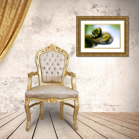 Black Tree Fern II Gold Ornate Wood Framed Art Print with Double Matting by Stefko, Bob