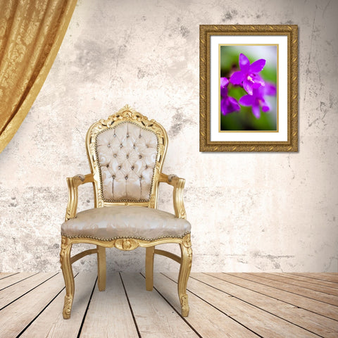Purple Orchid I Gold Ornate Wood Framed Art Print with Double Matting by Stefko, Bob