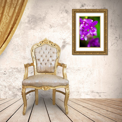 Purple Orchid II Gold Ornate Wood Framed Art Print with Double Matting by Stefko, Bob