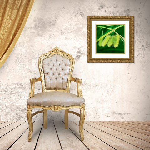 Simple Organics III Gold Ornate Wood Framed Art Print with Double Matting by Stefko, Bob