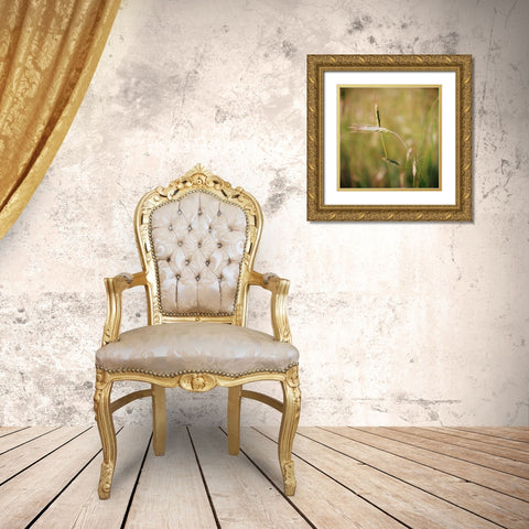 Simple Organics IV Gold Ornate Wood Framed Art Print with Double Matting by Stefko, Bob