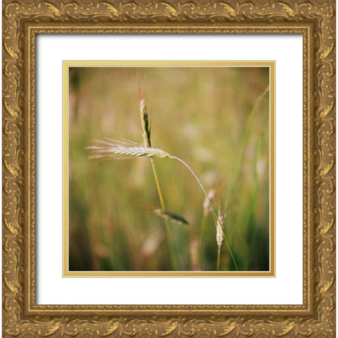 Simple Organics IV Gold Ornate Wood Framed Art Print with Double Matting by Stefko, Bob
