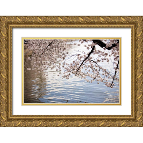 Cherry Blossoms I Gold Ornate Wood Framed Art Print with Double Matting by Stefko, Bob