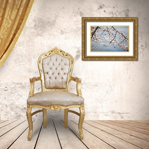Cherry Blossoms II Gold Ornate Wood Framed Art Print with Double Matting by Stefko, Bob