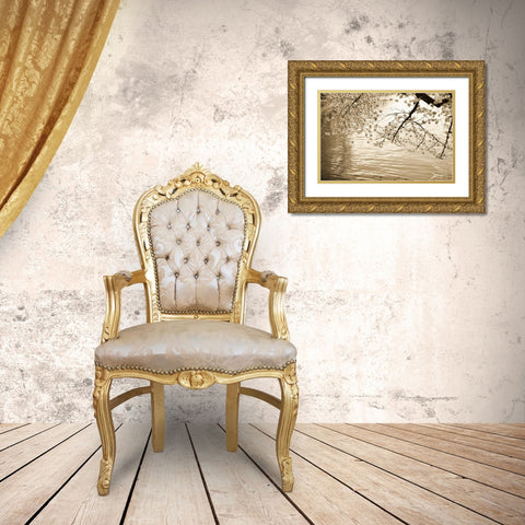 Sepia Cherry Blossoms I Gold Ornate Wood Framed Art Print with Double Matting by Stefko, Bob