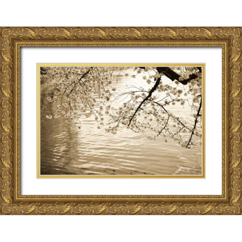Sepia Cherry Blossoms I Gold Ornate Wood Framed Art Print with Double Matting by Stefko, Bob