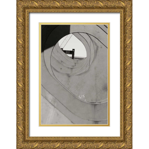 Oval Fractals I Gold Ornate Wood Framed Art Print with Double Matting by Styber, Dana