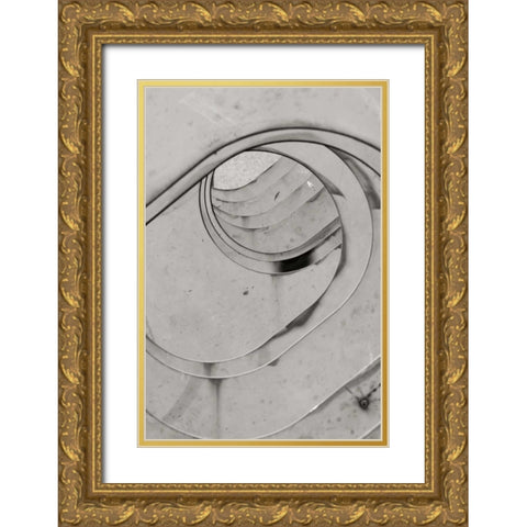 Oval Fractals II Gold Ornate Wood Framed Art Print with Double Matting by Styber, Dana