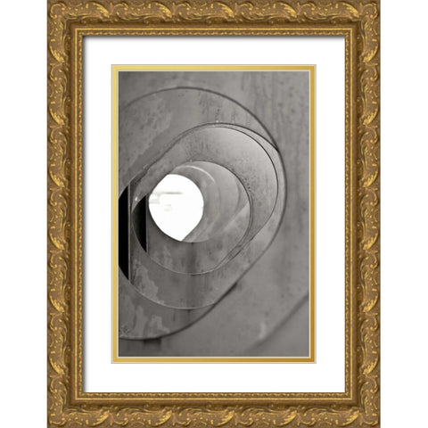 Oval Fractals III Gold Ornate Wood Framed Art Print with Double Matting by Styber, Dana