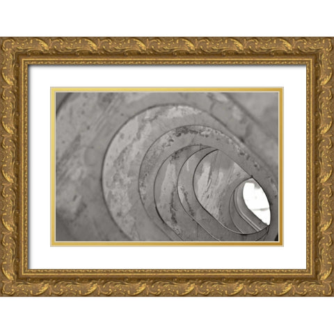 Oval Fractals V Gold Ornate Wood Framed Art Print with Double Matting by Styber, Dana