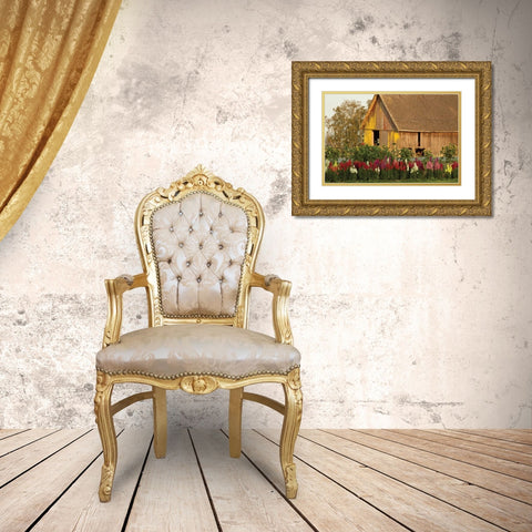 Snapdragons Barn I Gold Ornate Wood Framed Art Print with Double Matting by Styber, Dana