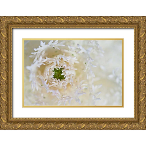 Green Ornamental I Gold Ornate Wood Framed Art Print with Double Matting by Styber, Dana