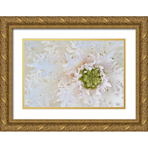Green Ornamental II Gold Ornate Wood Framed Art Print with Double Matting by Styber, Dana