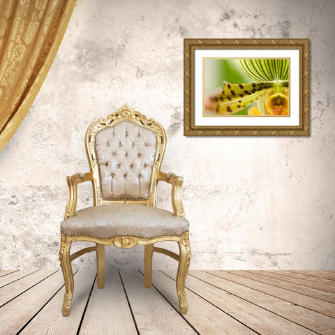 Extravaganza I Gold Ornate Wood Framed Art Print with Double Matting by Styber, Dana