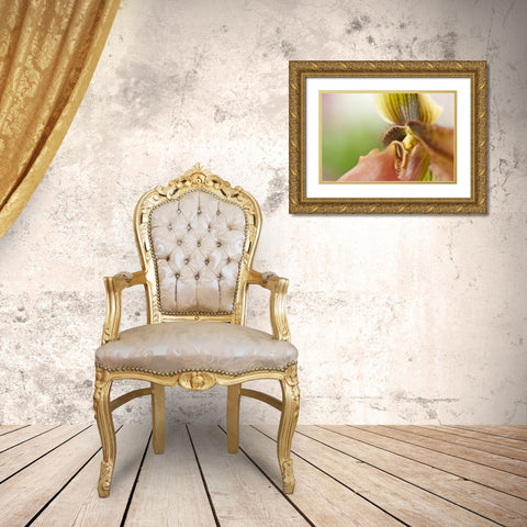 Extravaganza II Gold Ornate Wood Framed Art Print with Double Matting by Styber, Dana