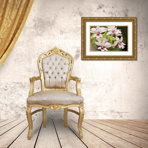 Pink Lips Gold Ornate Wood Framed Art Print with Double Matting by Styber, Dana