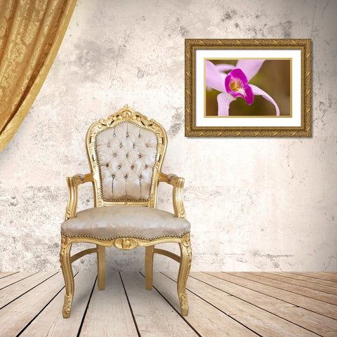 Purple Glory Gold Ornate Wood Framed Art Print with Double Matting by Styber, Dana