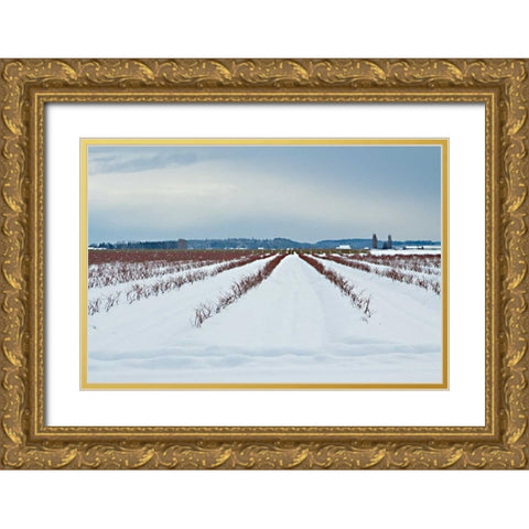 Berries Under Snow I Gold Ornate Wood Framed Art Print with Double Matting by Styber, Dana