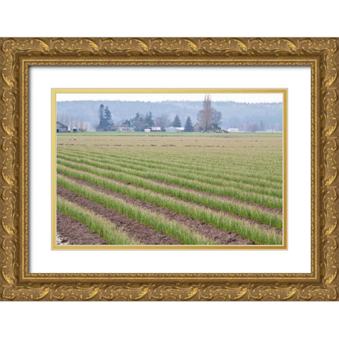 Graceful Greens II Gold Ornate Wood Framed Art Print with Double Matting by Styber, Dana