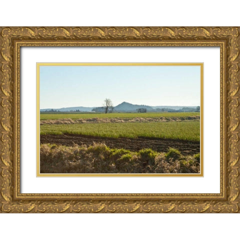 Golden Greens Gold Ornate Wood Framed Art Print with Double Matting by Styber, Dana