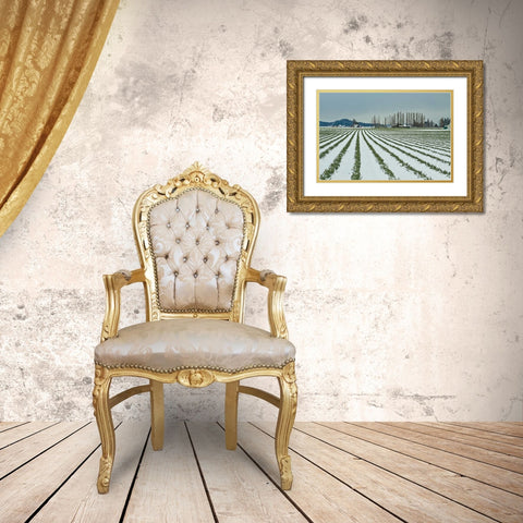 Snowy Daffodils I Gold Ornate Wood Framed Art Print with Double Matting by Styber, Dana