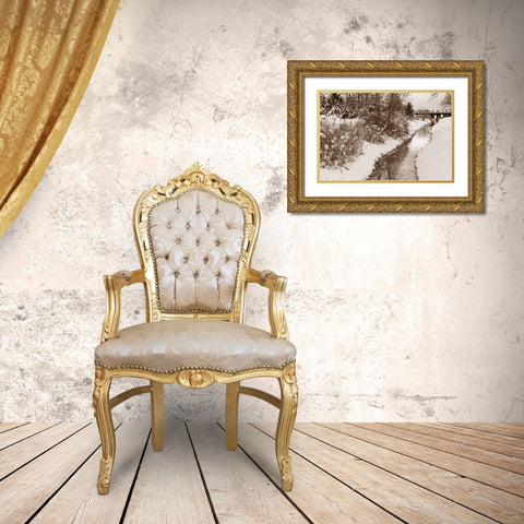 Winter Scenic II Gold Ornate Wood Framed Art Print with Double Matting by Styber, Dana