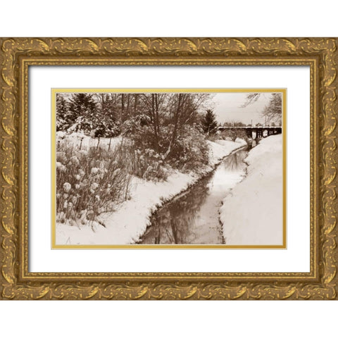 Winter Scenic II Gold Ornate Wood Framed Art Print with Double Matting by Styber, Dana
