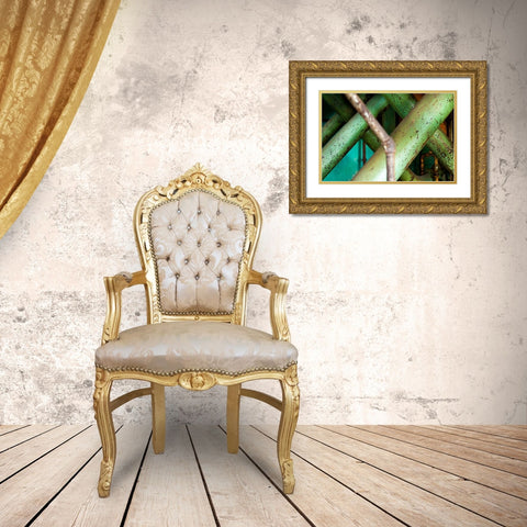 Central Junction Gold Ornate Wood Framed Art Print with Double Matting by Styber, Dana