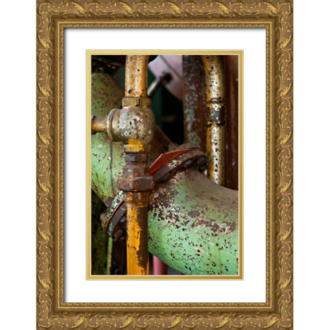 Gasket and Valve Gold Ornate Wood Framed Art Print with Double Matting by Styber, Dana