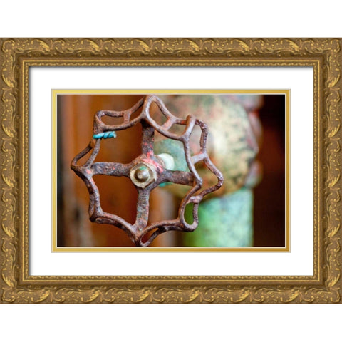 Open and Shut Gold Ornate Wood Framed Art Print with Double Matting by Styber, Dana