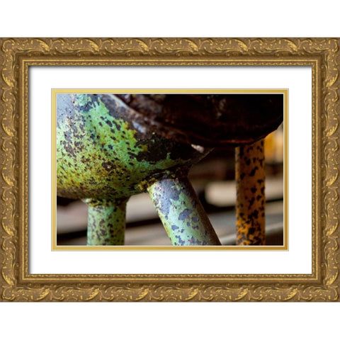 Underbelly Gold Ornate Wood Framed Art Print with Double Matting by Styber, Dana