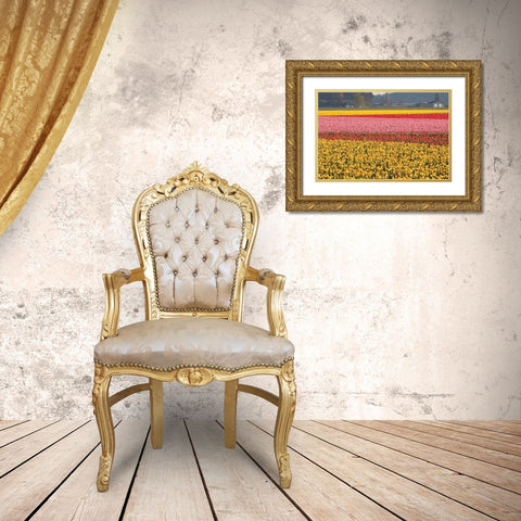 Reds Pinksand Yellows Gold Ornate Wood Framed Art Print with Double Matting by Styber, Dana