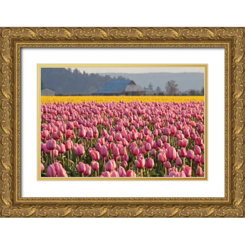 In the Pink Gold Ornate Wood Framed Art Print with Double Matting by Styber, Dana