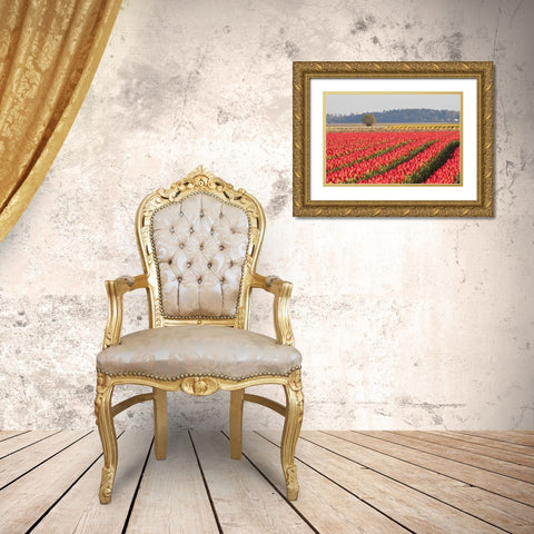 Lonesome Tree Gold Ornate Wood Framed Art Print with Double Matting by Styber, Dana