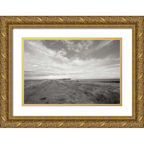 Bluff Path Gold Ornate Wood Framed Art Print with Double Matting by Styber, Dana