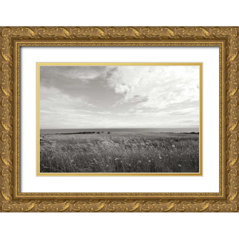 Bluff View Gold Ornate Wood Framed Art Print with Double Matting by Styber, Dana
