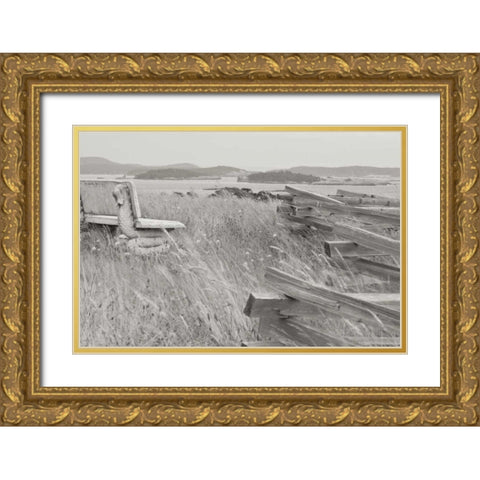 Grassy Knoll Gold Ornate Wood Framed Art Print with Double Matting by Styber, Dana