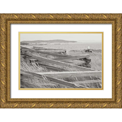 Lighthouse Path Gold Ornate Wood Framed Art Print with Double Matting by Styber, Dana