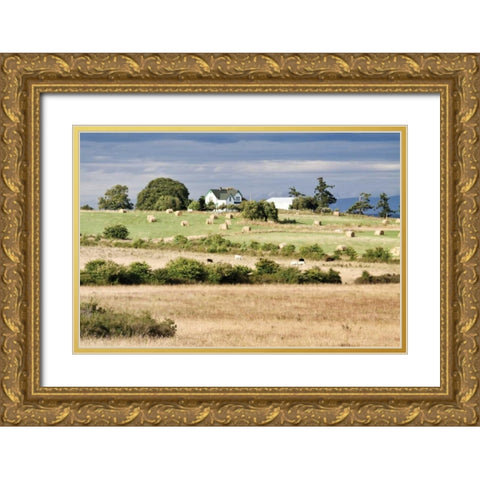 Hay Rolls I Gold Ornate Wood Framed Art Print with Double Matting by Styber, Dana