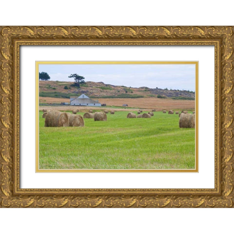 Hay Rolls II Gold Ornate Wood Framed Art Print with Double Matting by Styber, Dana