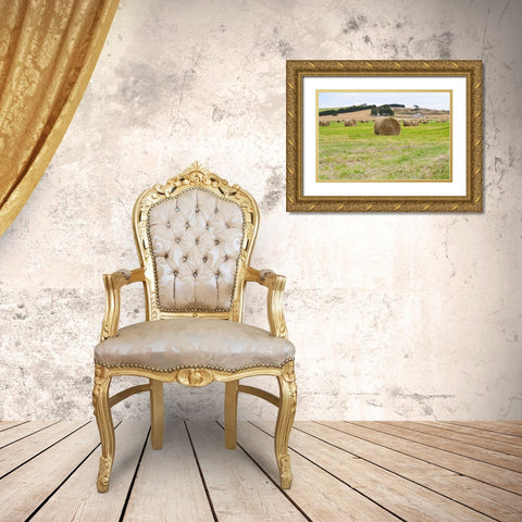 Hay Rolls III Gold Ornate Wood Framed Art Print with Double Matting by Styber, Dana