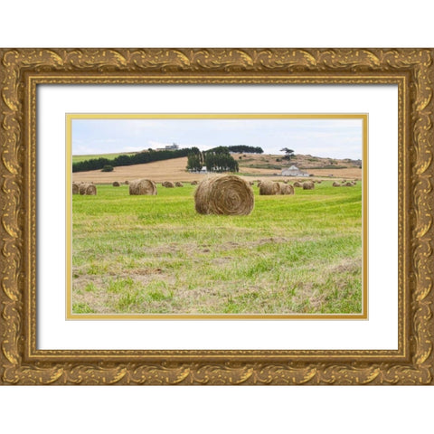 Hay Rolls III Gold Ornate Wood Framed Art Print with Double Matting by Styber, Dana