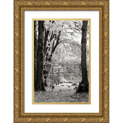 Baker Lake Trail II Gold Ornate Wood Framed Art Print with Double Matting by Styber, Dana